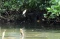 Menikmati Taman Wisata...