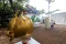 Pameran Art Jakarta...