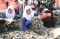 Peringati Hari Bumi,...