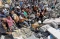 82 Warga Palestina Tewas...