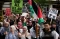 Dukungan untuk Palestina...