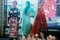 Potret Peluncuran Batik...