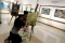 Pameran Tunggal Afit...
