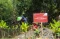 Penanaman Mangrove Bukti...