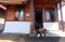 Melihat Kampung Haji...