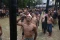 Keseruan Lomba Panjat...