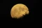 Penampakan Supermoon...