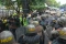 Demo Mahasiswa Semarang...