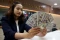 Rupiah Ditutup Melemah...