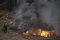 Kebakaran Hutan di California...