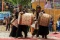 Kemeriahan Festival...