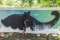 Potret Melukis Mural...