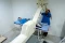 Melihat IHC Training...