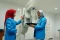 Melihat IHC Training...