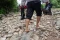 Menembus Rintangan Alam,...