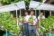 Melihat Kebun Hidroponik...