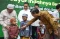 BTN Gelar Khitanan Massal...