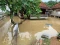 Banjir Landa Kabupaten...