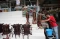 Melihat Ritual Bersih-bersih...