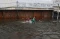 Banjir Rendam Ruas Jalan...