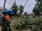 Angin Kencang Terjang...