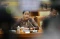 Sri Mulyani Berikan...