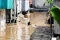 Banjir Kiriman Rendam...