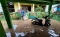 Banjir Bandang dan Longsor...