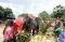 Perayaan Hari Gajah...