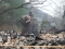 Tragedi Kebakaran Hutan...