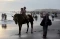 Wisata Delman di Pantai...
