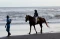 Wisata Delman di Pantai...
