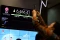 Awal Pekan, IHSG Ditutup...