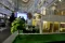 The Garden House, Inovasi...