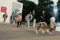 UNIQLO FITFEST 2025...