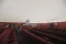 Mengintip Planetarium...