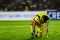 Debut Manis Emil Audero...