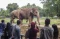 Ragunan Tak Tutup Senin...