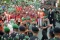 Mayjen TNI Achiruddin...