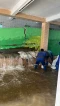 Tembok Mushola Sabili...