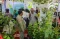 Festival Urban Farming,...