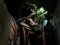 Angin Kencang Terjang...
