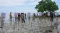 BMH Tanam 1.000 Pohon...