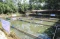 HUT Wartawan Mancing...