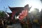 Potret Kemeriahan Festival...