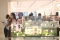The Garden House: Konsep...