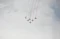 Jupiter Aerobatic Team...