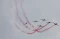 Jupiter Aerobatic Team...