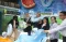 Pameran IBTE 2025 Jadi...