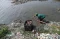 Laut Indonesia Tercemar...